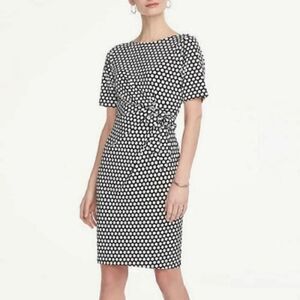 Ann Taylor Factory Soft Knit Dress
